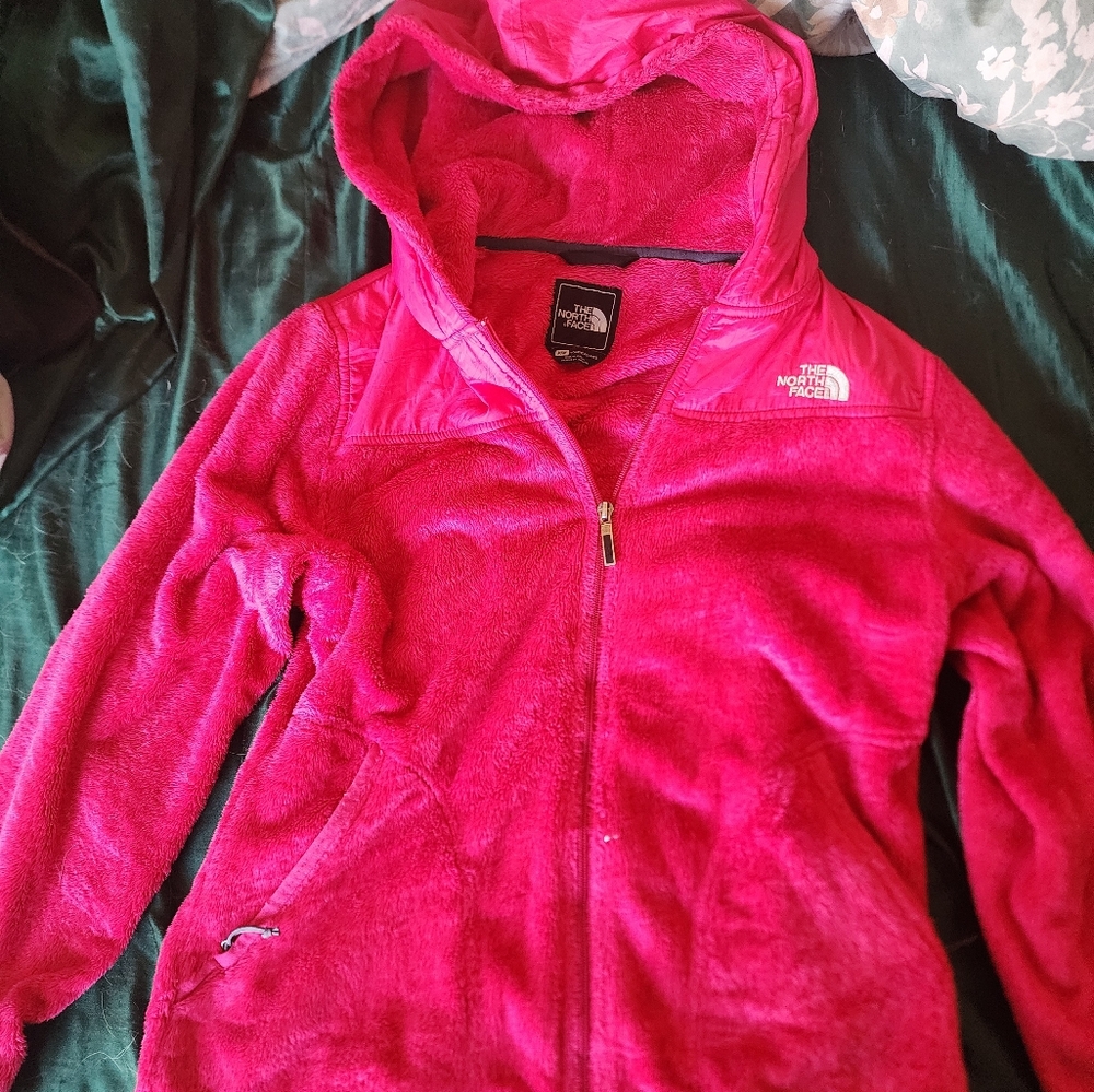 The north face sweater